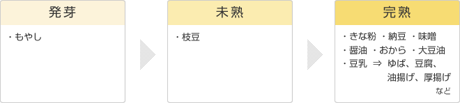 発芽 ・もやし 未熟 ・枝豆 完熟 ・きな粉 ・納豆 ・味噌 ・醤油 ・おから ・大豆油・豆乳 → ゆば、豆腐、油揚げ、厚揚げなど